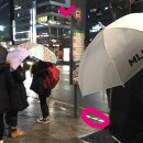 양지-3101 이미지