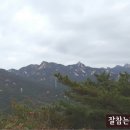 녹번파출소 화장실 이미지