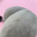 모들펫살롱 이미지