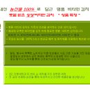 비타민김치 티스토리