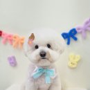 이따봐요 이미지