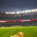 순살싸다리치킨 SSG랜더스필드점 이미지