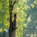 재능시낭송협회 시낭송 이미지