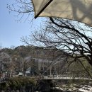 안양예술공원내 공영주차장 | 안양예술공원 파스쿠찌 카페 주차장 방문후기