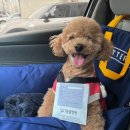 답21동물병원 이미지