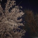 혜윤농장 | ✨2023.04 후기✨