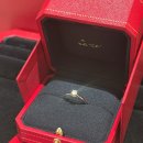 1895 | 프로포즈 반지 구매 후기 | 까르띠에 솔리테어 1895