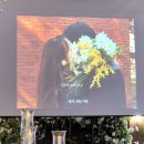 만장하우스 | 결혼식풍년인 2025년,, 신도림라마다하객후기와 하우스웨딩 누에바파밀리아 하객후기