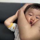 건축사사무소놈