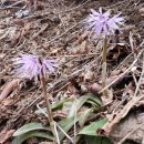 봉화둘레길 이미지