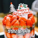 세븐일레븐 대전용문롯데점 | 성심당 딸기시루 맛있을까? 대전 롯데백화점 빵지순례!