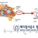 이음메디칼 이미지