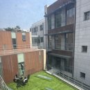 참빛주유소 | 이화외고 교생 3주 차🌸