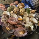 이로운바다 | 제주 함덕 맛집 이로운술상 2단 통골뱅이찜과 고갈비 도민 단골 후기