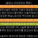 넬라스 이미지