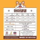 하이댕댕 이미지