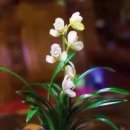 광주시민체육관 체육관 이미지