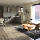 동광의계절 이미지