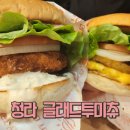 서구-01-156 이미지