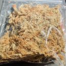 방달팽이 연구소 이미지