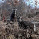 산양파출소 이미지