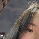 대한통운(주)동해지사 | 12월 블로그 아무것도 안 올린 사람의 최후