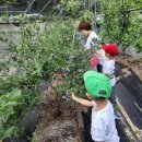 비봉슈퍼 이미지