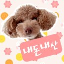 백운목장 | 의왕 백운호수 선일목장 정육식당 내돈내산 후기