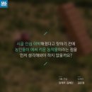 인심이네 Daum카페