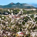 달랏(DA LAT) 이미지