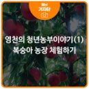 청년체험농장
