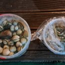 블루오션리조트홀리데이파크 | 태안카라반 - 블루오션리조트 이용후기