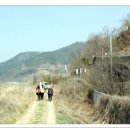 영남대로 이미지