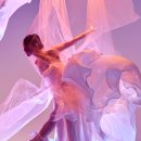 솔루티아 행정사&탐정사 사무소 이미지