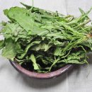 흰민들레농장 이미지