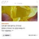 지봉이네 수성구 파동 과일가게 복숭아 리뷰 감동후기