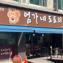 엄가네도토리 이미지