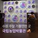 수원-1960 | 수원 주말 실내 가볼만한 곳 추천 국립농업박물관 식물원 곤충원 모든게 무료