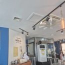 바로나도 수원영통 | 수원 영통 애견카페 바로나도 방문 후기