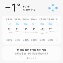 복터진 강아지 이미지