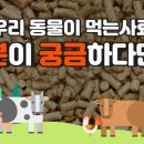 우수사료 네이버블로그