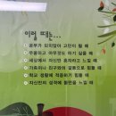 본 죽&비빔밥 거제고현점 | [9월 1주차] 그럼 그냥 9월 진행할께요