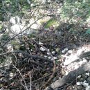 다모아 민박펜션 이미지