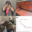 분당다이어트 솔직한 2주차 쥬비스후기 효과