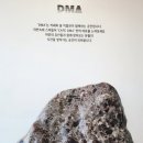 DMA Cafe