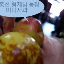 박노은 농장 네이버블로그