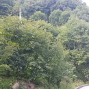 한사랑목장 이미지