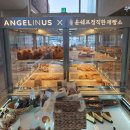 엔제리너스 온수DT