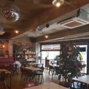 원두볶는 고양이 이미지