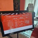 송학주천로 | 강원 영월 사진 찍기 좋은 가볼만한 곳 젊은달와이파크 후기